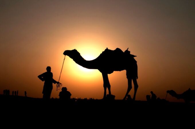 Agadir/Taghazout/Port: Camel Ride Tea & BBQ Option - Destination Highlights