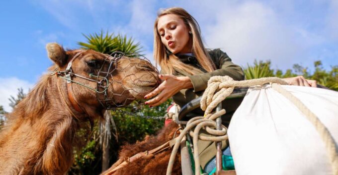 Agadir/Taghazout/Port: Camel Ride Tea & BBQ Option - Frequently Asked Questions