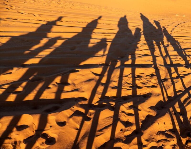 Agadir/Taghazout/Port: Sahara Desert 4x4 Day Trip With Lunch - Inclusions and Transportation