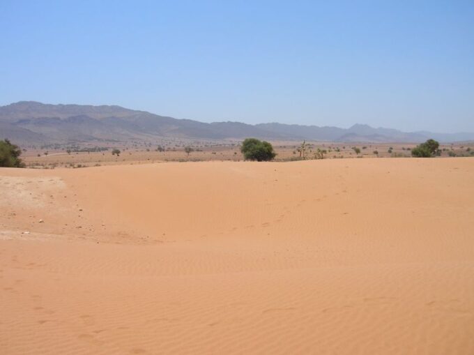 Agadir/Taghazout/Port: Sahara Desert 4x4 Day Trip With Lunch - Explore Massa Valley and National Park