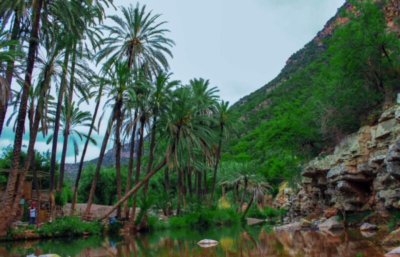 Agadir/Taghazout: Sahara Desert & Paradis Valley With Lunch - Botanical Garden and Argan Corporation