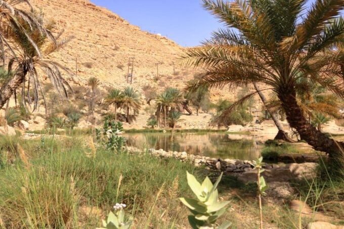 Agadir/Taghazout/Tamraght: Paradise Valley Best Tour - Availability and Booking Details