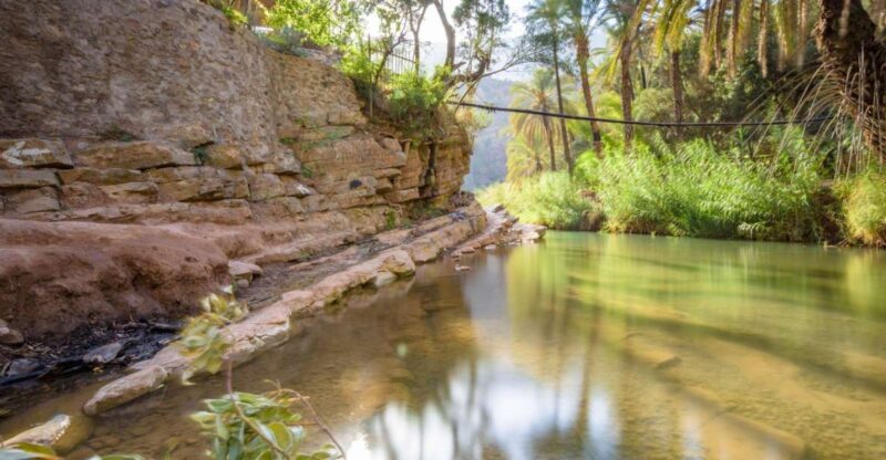 Agadir/Taghazout/Tamraght: Paradise Valley Swimming Tour - Experience Highlights