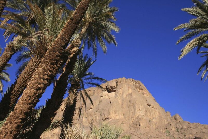 Agadir/Taghazout/Tamraght: Paradise Valley Swimming Tour - Inclusions