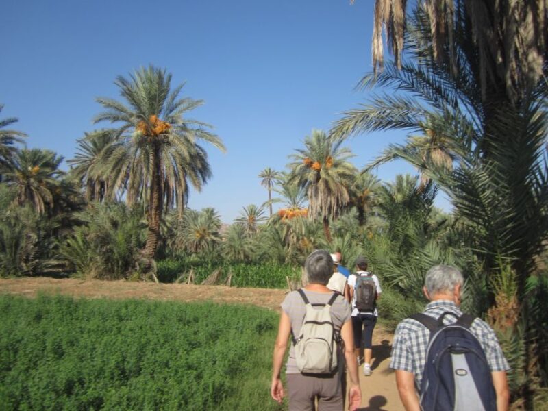 Agadir | Taghazout : Taroudant Guided Trip Including Lunch - Key Points