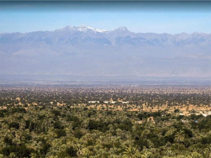 Agadir | Taghazout : Taroudant Guided Trip Including Lunch - Hotel Pickup and Drop-off