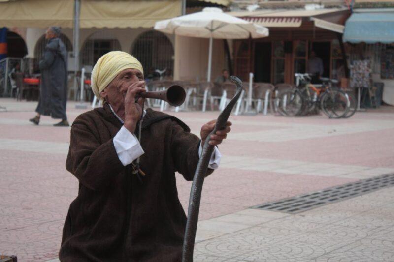 Agadir: Taroudant and Tiout Day Trip & Tajine - Tiout Oasis Experience