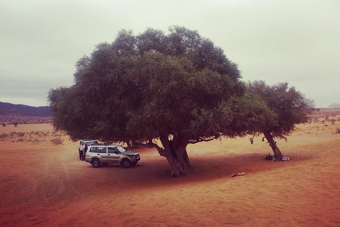 Agadir Trip To Mini Desert / Safari Tour - Pickup Information