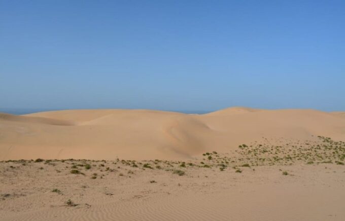 Agadir: Visit National Park & Sahara Desert Including Lunch - Fishermans Cave