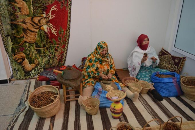 Agadir: Visit National Park & Sahara Desert Including Lunch - Tour Inclusions and Exclusions