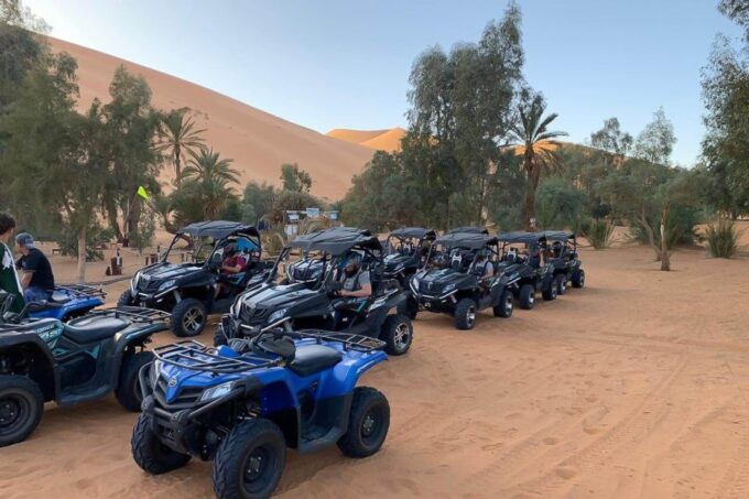 Agadir:Half-Day Desert Dunes Buggy Safari - Booking and Cancellation