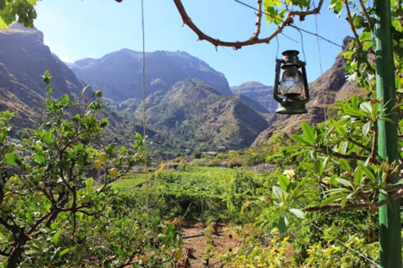 AGAETE: WILD NORTH COAST AND COFEE PLANTATION. PHOTO TOUR - Transportation and Pickup Information