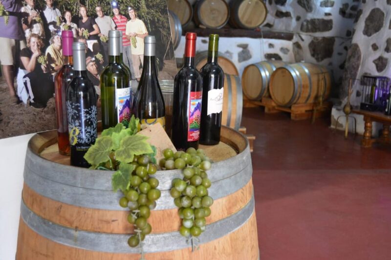 AGAETE: WILD NORTH COAST AND COFEE PLANTATION. PHOTO TOUR - Inclusions and Exclusions