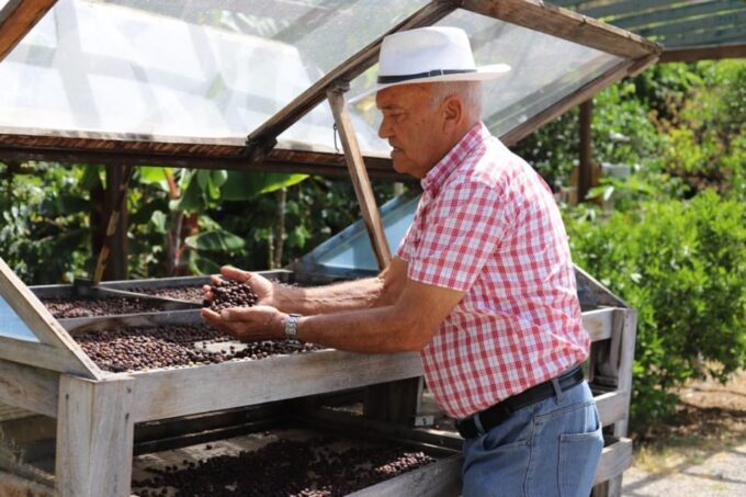 AGAETE: WILD NORTH COAST AND COFEE PLANTATION. PHOTO TOUR - Tamadaba Pine Forest and Wellness
