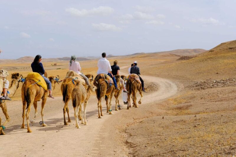 Agafay and Atlas: Quad and Camel Experience - Key Points