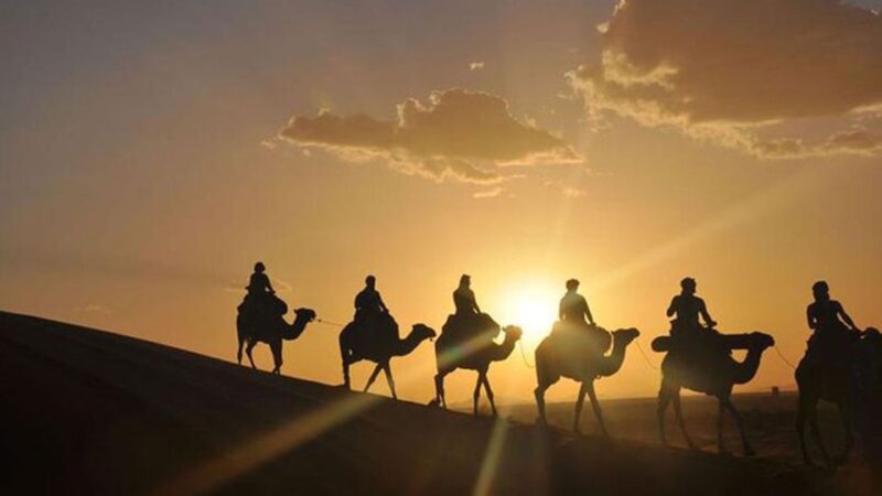 Agafay and Atlas: Quad and Camel Experience - Safety and Accessibility