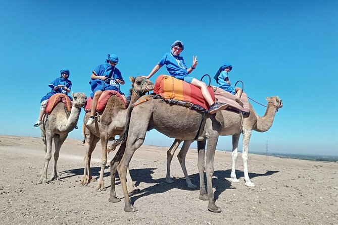 Agafay Camel Ride - Reviews and Ratings