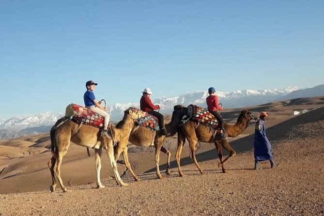 Agafay Camel Ride - What to Expect