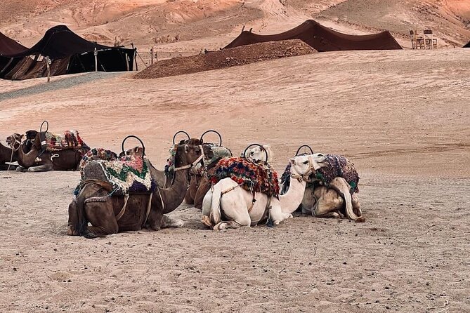 Agafay Camel Ride & Ourika Valley in Atlas Mountains - Lunch and Refreshments