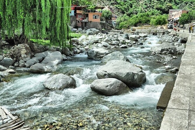 Agafay Camel Ride & Ourika Valley in Atlas Mountains - Additional Information and Reviews