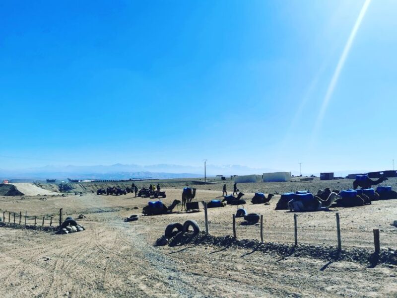 Agafay Desert : 1hour Camel & 1hour Quad & Dinner Show - Key Points