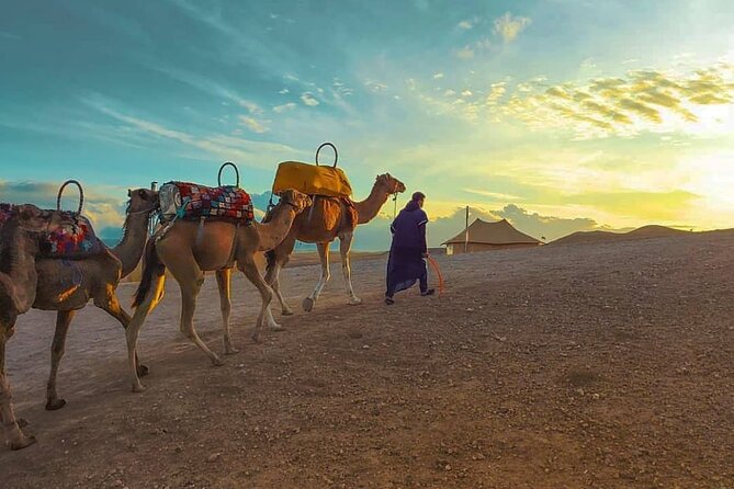 Agafay Desert-And Atlas Mountains & Camel-Trek-Day Trip From Marrakech - Inclusions