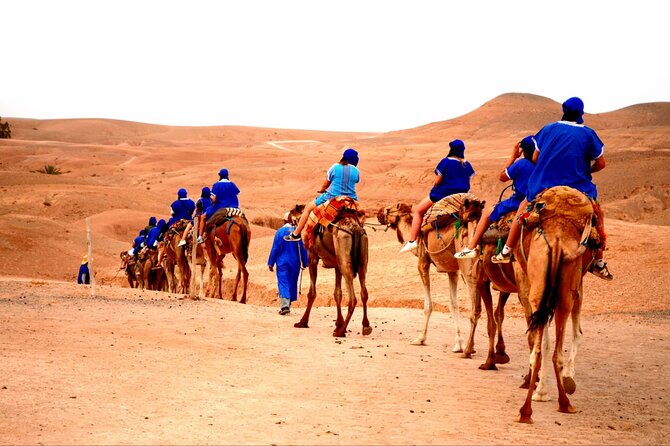 Agafay Desert , Camel Ride , Sunset & Dinner Show - Booking and Cancellation