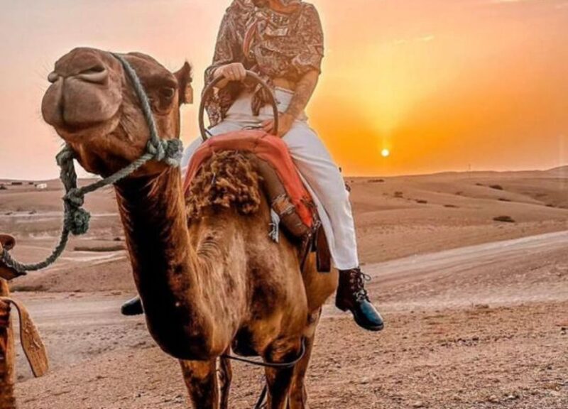 Agafay Desert Camel Ride & Sunset & Dinner - Highlights