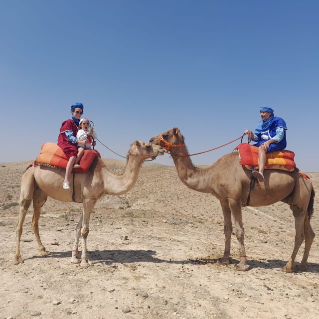 Agafay Desert Camel Ride With Berber Dinner From Marrakech - Itinerary Details