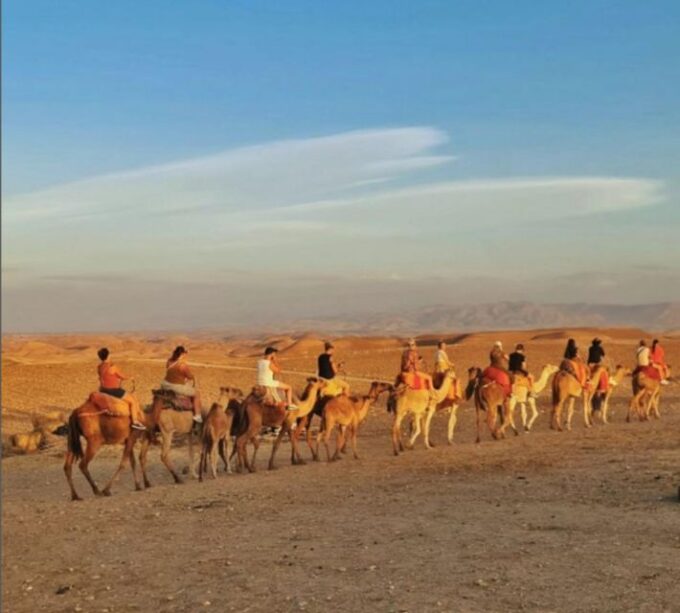 Agafay Desert: Quad Bike or Camel Ride and Dinner Show - Included in the Package