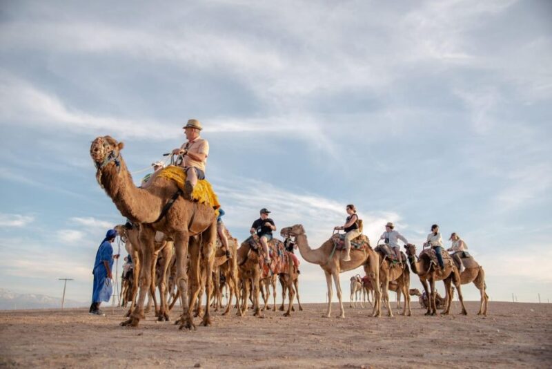 Agafay Desert Quad Biking & Camel Ride With Evening Dinner - Quad Biking or Camel Riding