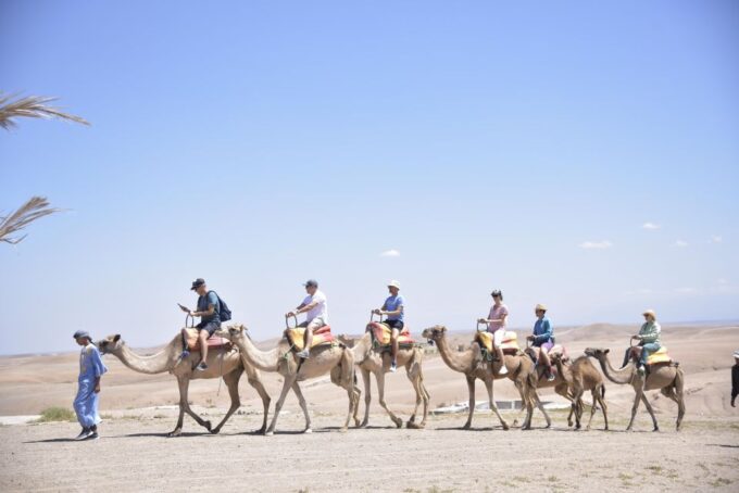 Agafay Desert Quad Biking & Camel Ride With Evening Dinner - Berber Culture and Starry Nights