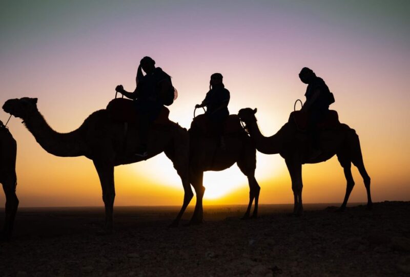 Agafay Desert Sunset Camel Ride - Itinerary Highlights