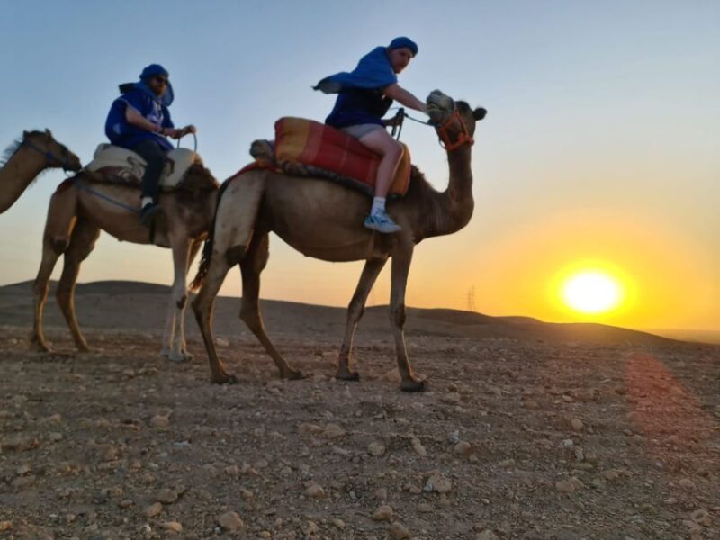 Agafay Desert Sunset Camel Ride - Customer Feedback