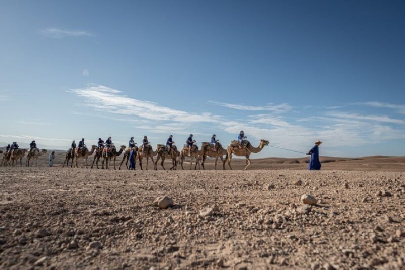Agafay Desert Sunset Camel Ride Half Day Tour From Marrakech - Key Points
