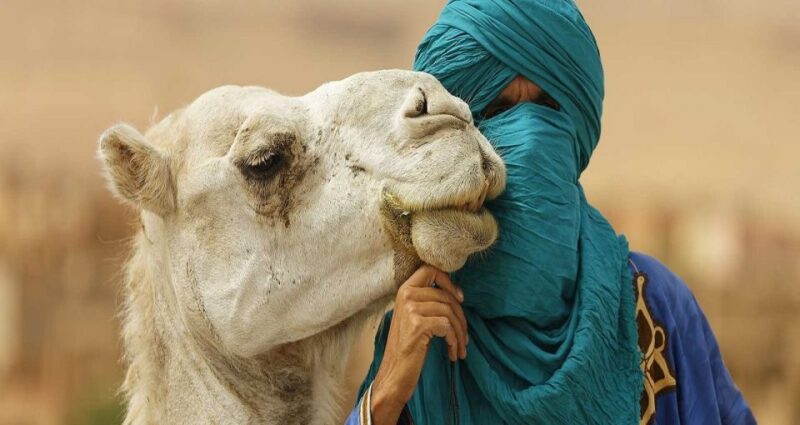 Agafay Desert Sunset Camel Ride Half Day Tour From Marrakech - Itinerary