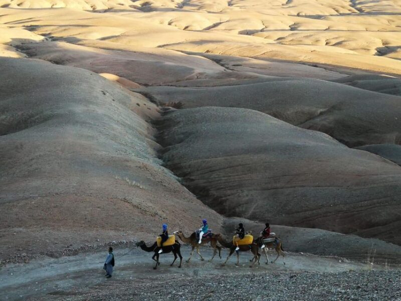 Agafay Desert Sunset Camel Ride - Key Points