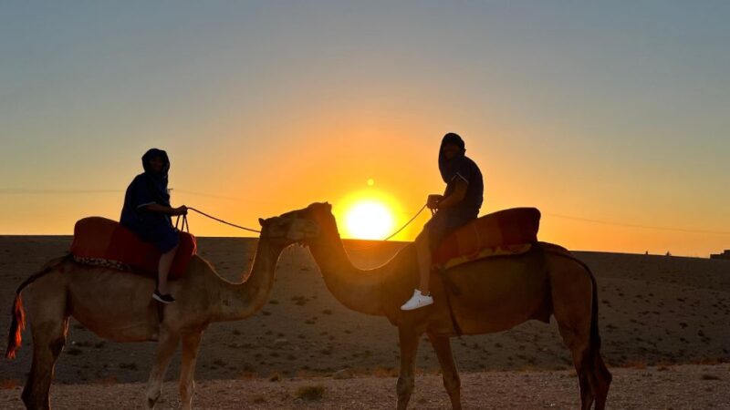 Agafay Desert Sunset Camel Ride - Pricing and Reservation