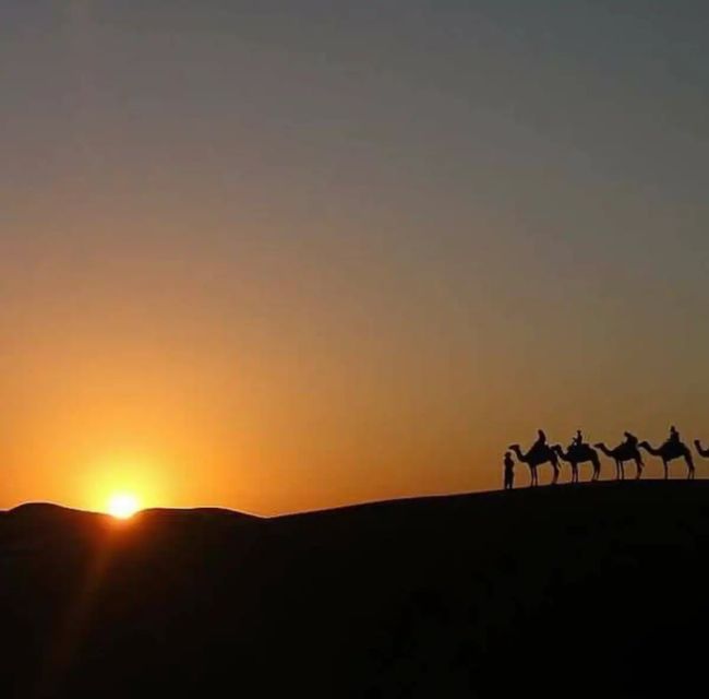 Agafay Desert Sunset Dinner & Berber Campfire (Vegan Option) - Inclusions