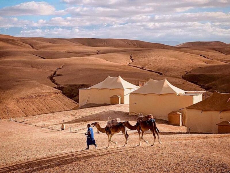 Agafay Desert Tour From Marrakech Dinner Camel-Ride Show - Experience Highlights