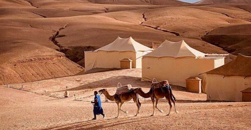 Agafay Desert Tour From Marrakech Dinner Camel-Ride Show - Dinner and Entertainment