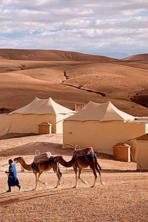 Agafay Dinner & Camels Enjoy the Sunsit Over the Stony Dune - Key Points
