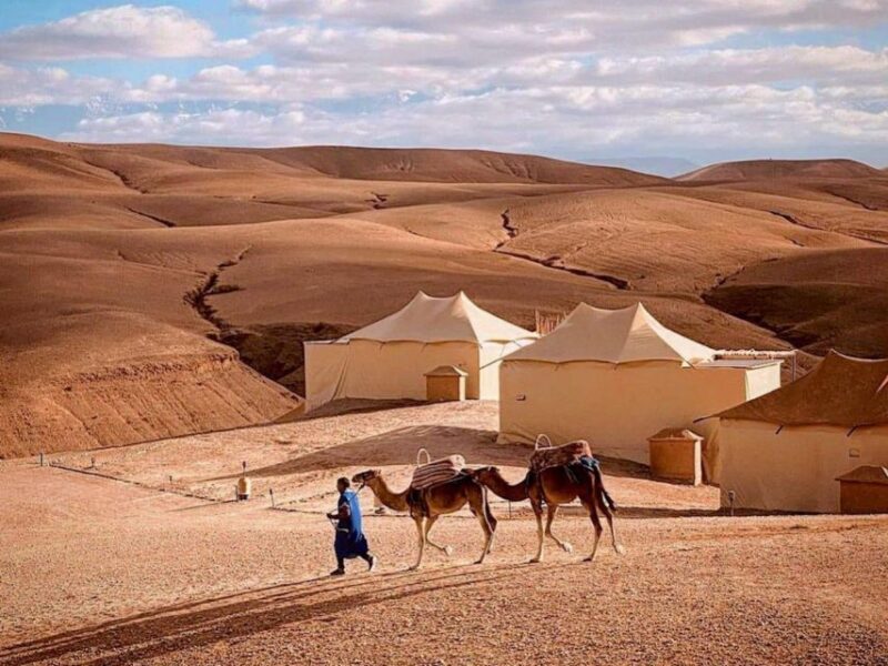 Agafay Dinner & Camels Enjoy the Sunsit Over the Stony Dune - Pricing and Reservation