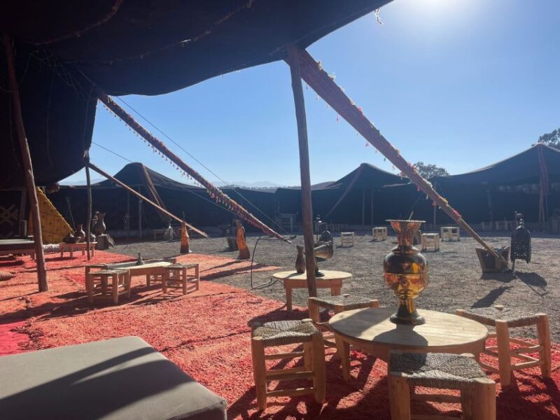 Agafay Experience : Dinner With Sun Set Camel or Quad Ride - Participant Recommendations