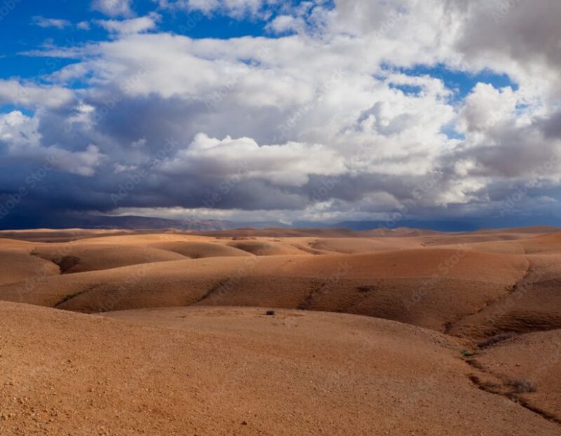 Agafay Guided Camel Riding and Dinner Under Stars - Dinner and Entertainment