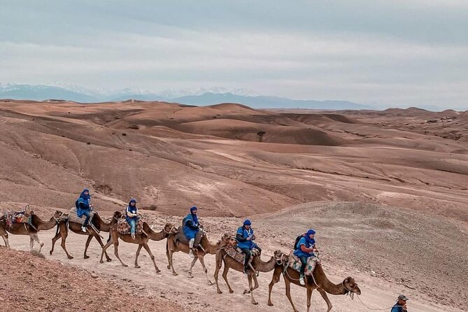 Agafay Magical Dinner With Camel Ride - Pricing and Cancellation Policy