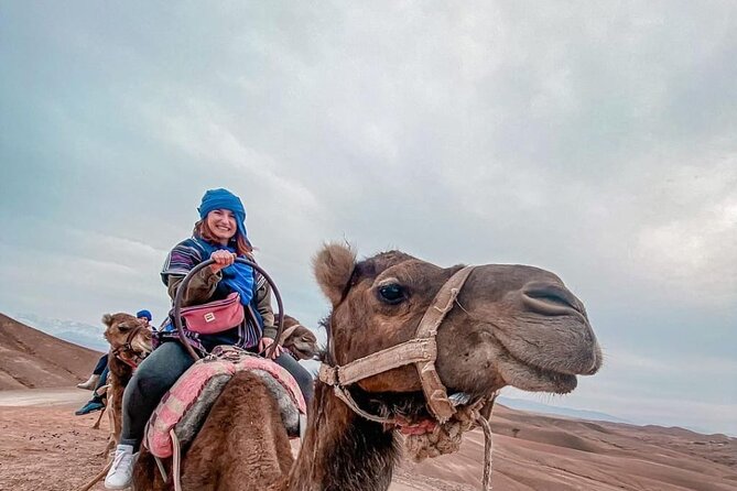 Agafay Magical Dinner With Camel Ride - Review Highlights