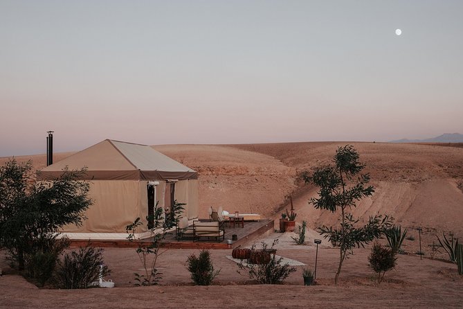 Agafay Private Day Trip With Lunch and Camel Ride - Customer Reviews and Ratings