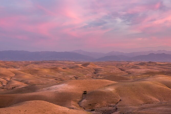 Agafay Sahara Trips and Activities From Marrakech - Customer Feedback