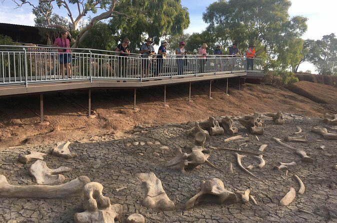 Age of Dinosaurs Museum Half Day Guided Transfer from Winton - FAQ